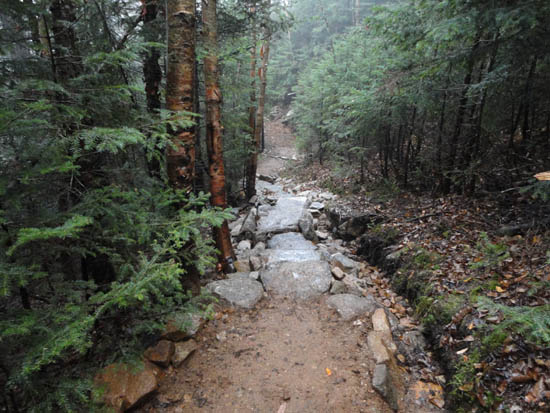Looking down the Mt. Tecumseh trail