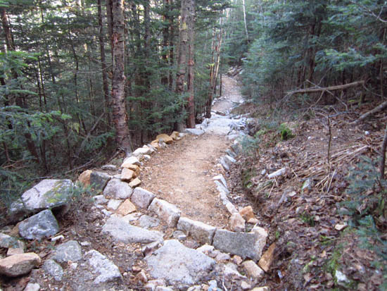Looking down the Mt. Tecumseh Trail