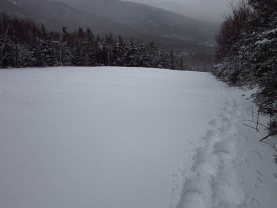 The looking down a ski trail