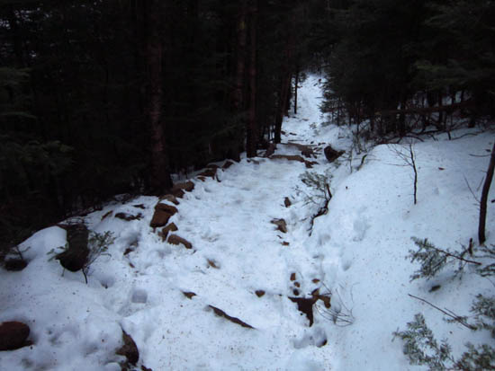 Looking down the Mt. Tecumseh Trail