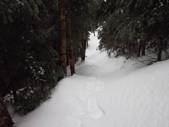 The Mt. Tecumseh Trail