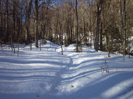 The Mt. Tecumseh Trail