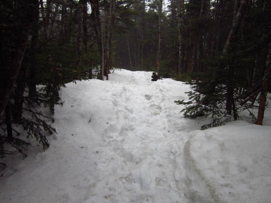 The melting drifts on the Mt. Tecumseh Trail