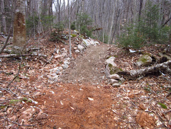 The re-routed lower Mt. Tecumseh Trail