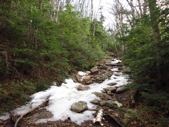 The Mt. Tecumseh Trail