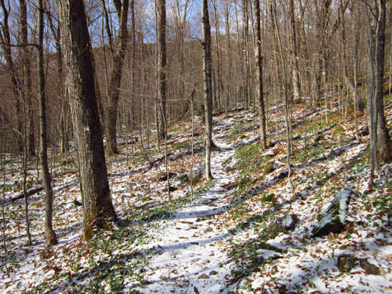 The Mt. Tecumseh Trail