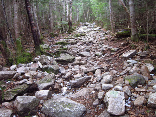 A rough portion of the Mt. Tecumseh Trail