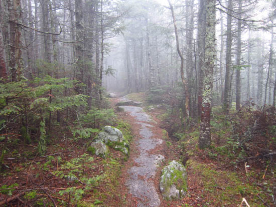 The Mt. Tecumseh Trail