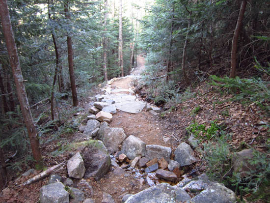 The Mt. Tecumseh Trail