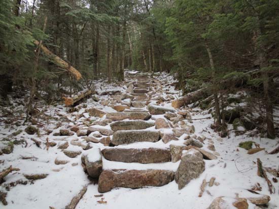 The Mt. Tecumseh Trail