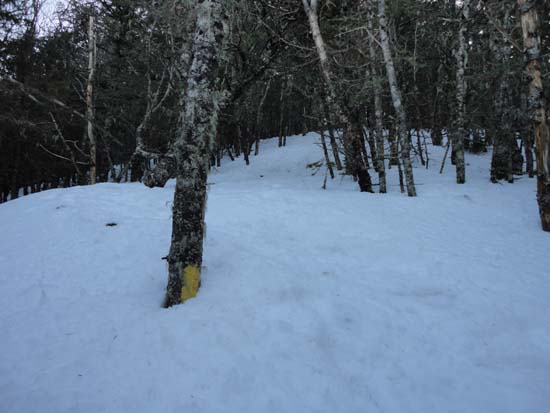 Deep snow near the summit of Mt. Tecumseh