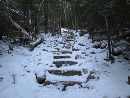 Looking up the Mt. Tecumseh Trail