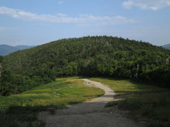 Looking down the ski trails at Green Peak