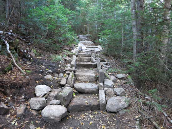 Looking up the Mt. Tecumseh Trail