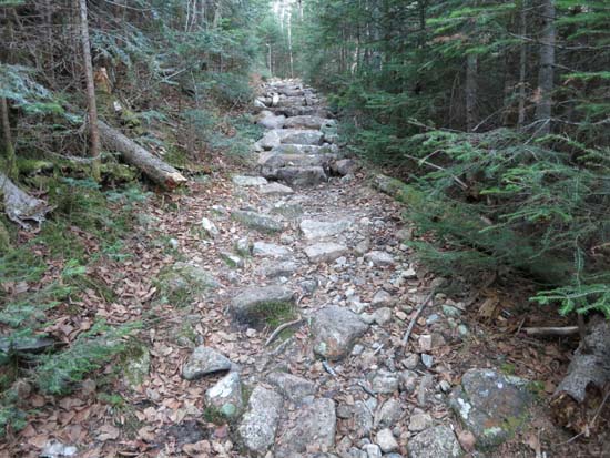 The Mt. Tecumseh Trail