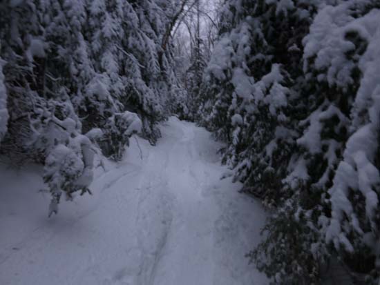 The Mt. Tecumseh Trail