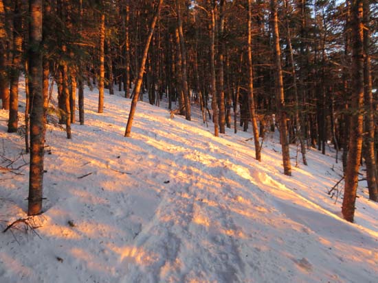 Nearing the summit on the Sosman Trail