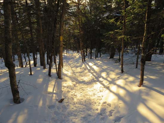 The Mt. Tecumseh Trail