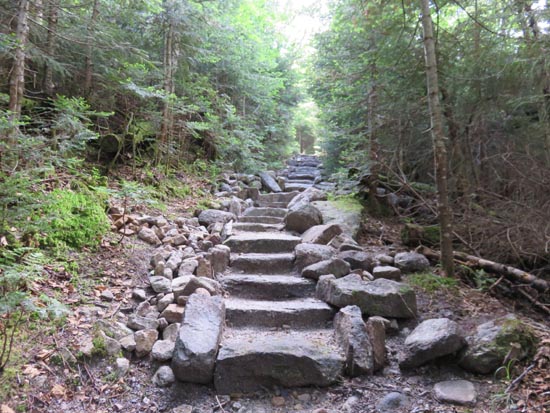 Looking up the Mt. Tecumseh Trail