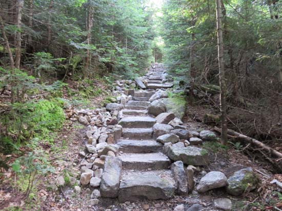 Looking up the Mt. Tecumseh Trail