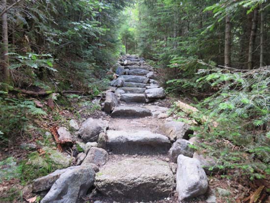 Looking up the Mt. Tecumseh Trail