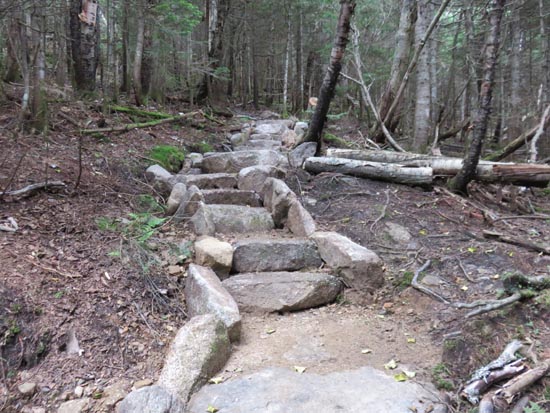 Looking up the Mt. Tecumseh Trail