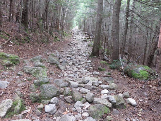 Looking up the Mt. Tecumseh Trail