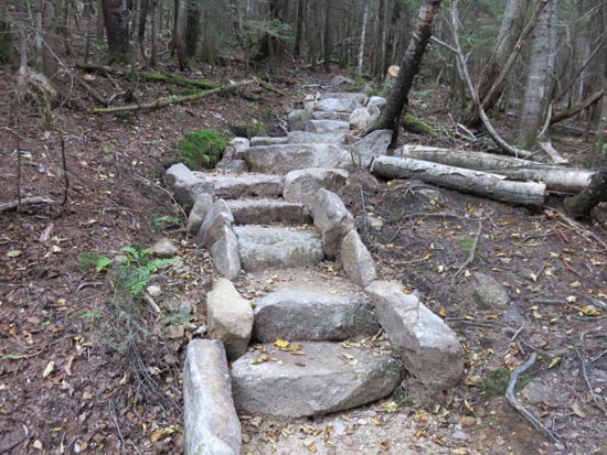 Looking up the Mt. Tecumseh Trail