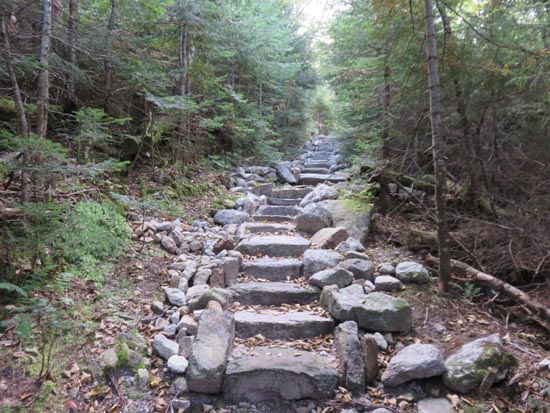 Looking up the Mt. Tecumseh Trail