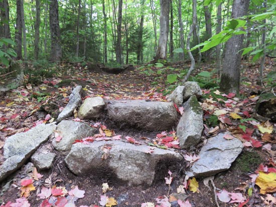 Looking up the Mt. Tecumseh Trail