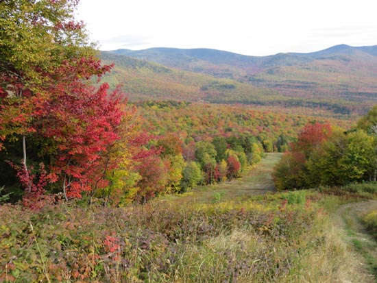 The ski trails