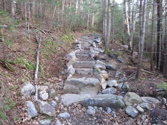 Looking up the Mt. Tecumseh Trail