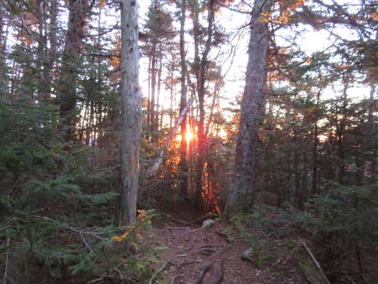 The Sosman Trail just after sunrise