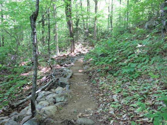 The Mt. Tecumseh Trail