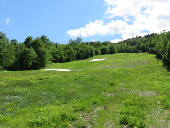 Looking up the ski trails