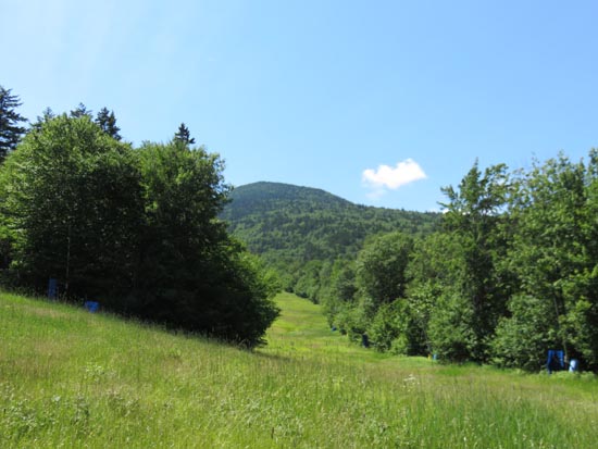 Looking up the ski trails