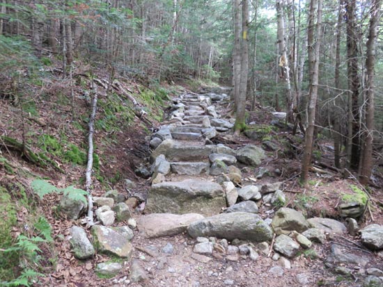 Looking up the Mt. Tecumseh Trail
