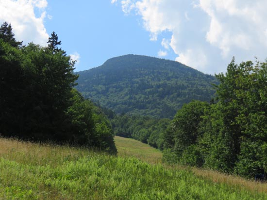 Looking up the ski trails