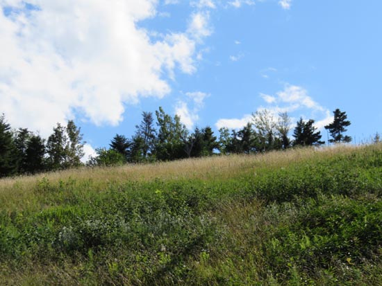 Looking up the ski trails