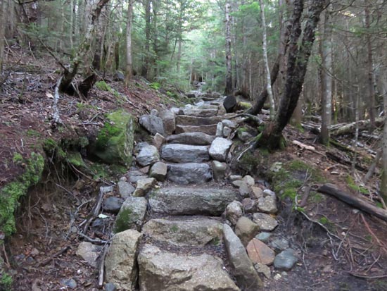 Looking up the Mt. Tecumseh Trail