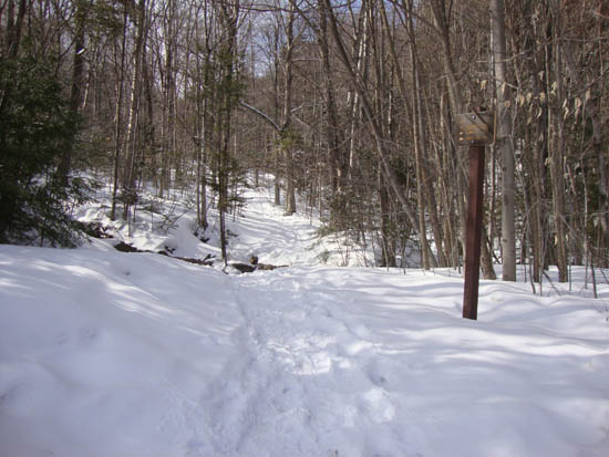 The Mt. Tecumseh Trail trailhead near parking lot 1