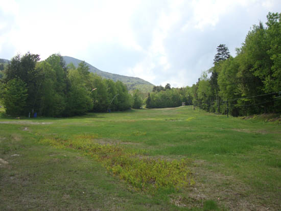 The bottom of the Pasture ski trail