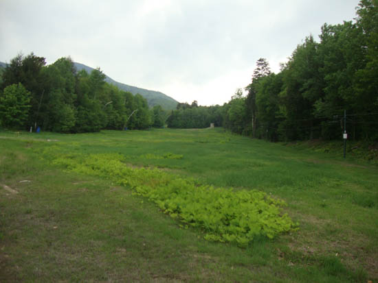 The bottom of the Pasture ski trail