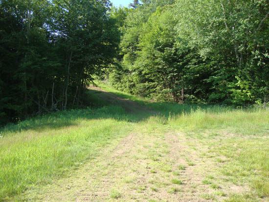 The bottom of the ski trails