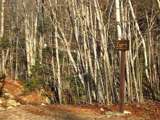 The Mt. Tecumseh Trail trailhead