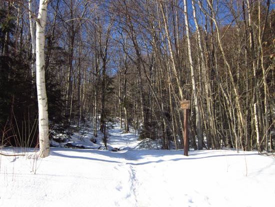 The Mt. Tecumseh Trail trailhead