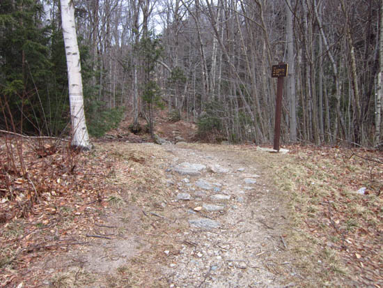 The Mt. Tecumseh Trail trailhead
