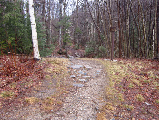 The Mt. Tecumseh Trail trailhead