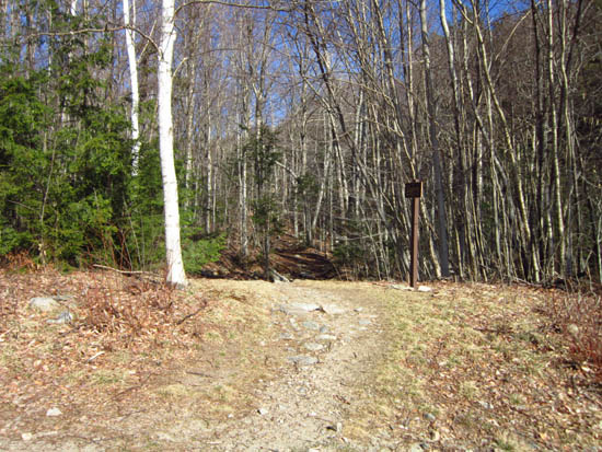 The Mt. Tecumseh Trail trailhead