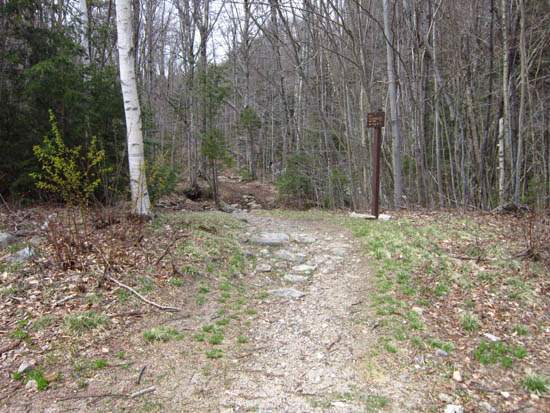 The Mt. Tecumseh Trail trailhead